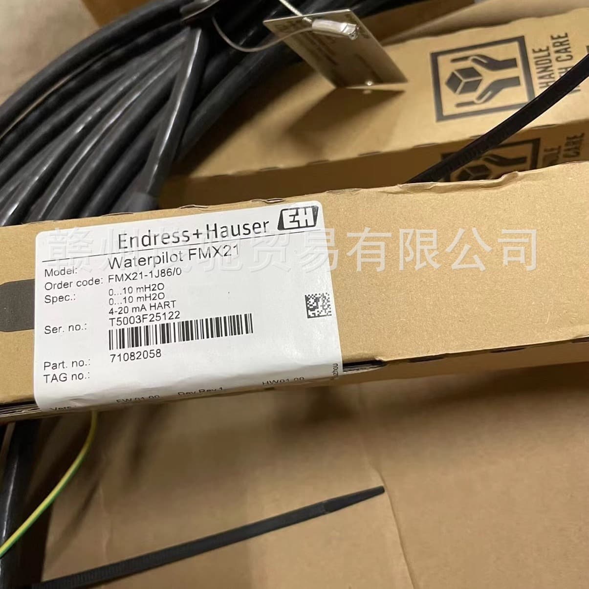 E+H FMX21-AA211HGD15A (FMX21-1J86/0) L=15M Hydrostatic Level Transmitter