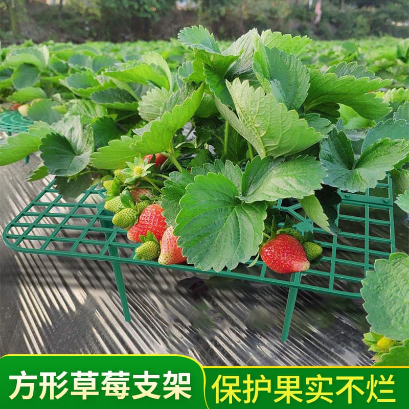 Strawberry Stereo Cultivation Rack Planting Bracket Tool Square Potted Plant Tray Rack Bracket Anti-Rot Hydroponic Strawberry Rack