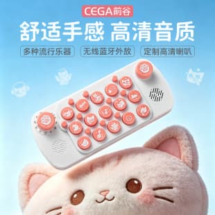 [Cross-Border Exclusive] Pocket Piano Music Keyboard Electronic Organ Wholesale Internet Celebrity Same Style Multi-Tone Instrument