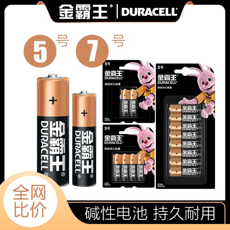 Duracell Alkaline Battery AA AAA AA Dry Battery Fingerprint Password Lock Air Conditioner TV Toy Remote Control