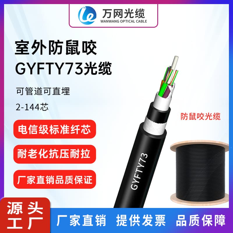 Wanwang Non-Metallic Optical Cable GYFTY73 Outdoor Direct Burial Optical Cable Rodent-Proof Optical Cable Manufacturer Communication Fiber Optic