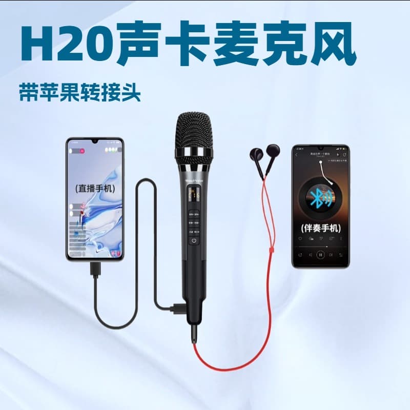 Huayi Factory H20 Sound Card Mic with Built-in Sound Card for Singing and Live Streaming