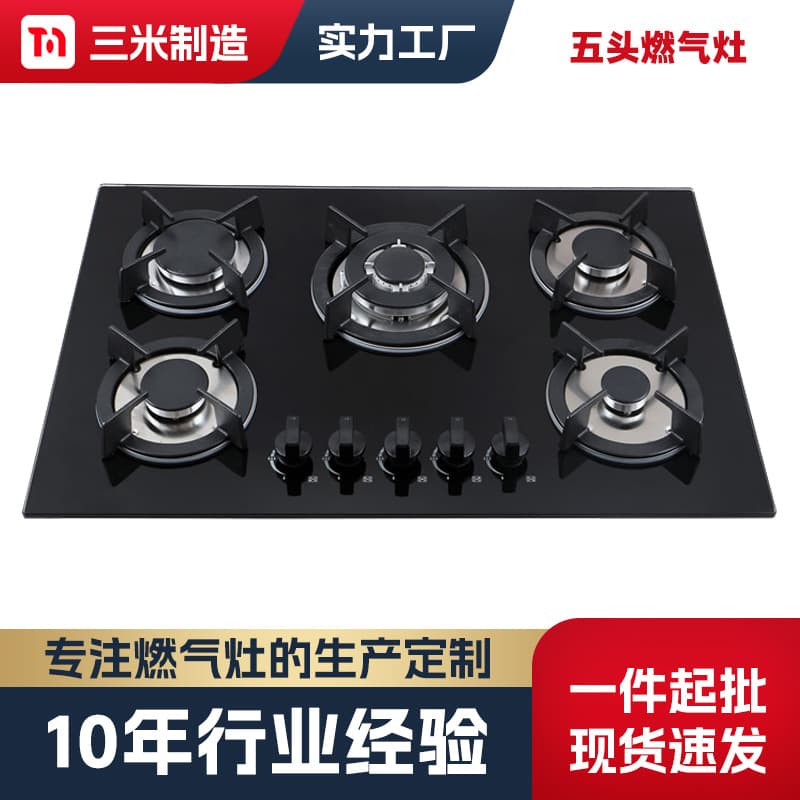 5-Burner Gas Stove, Minimum Order Quantity 1, Built-in 5-Burner Cooktop for Natural Gas, LPG, Coal Gas