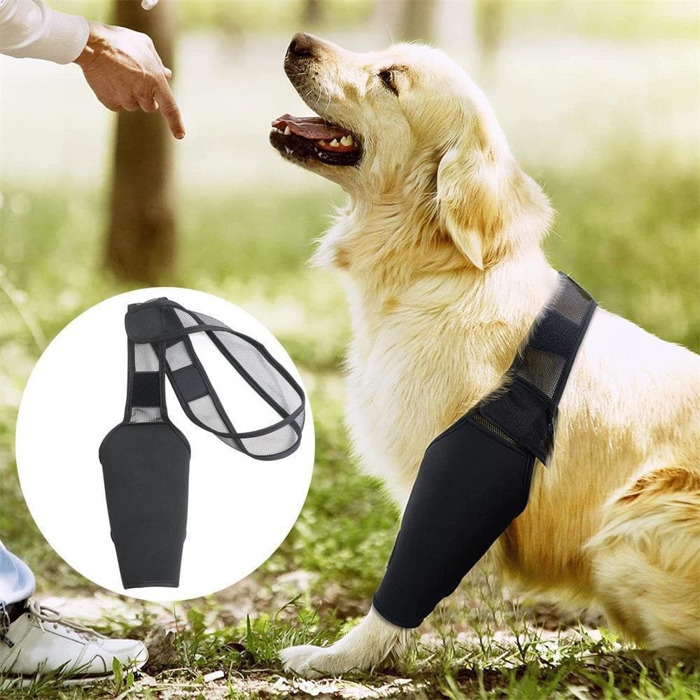 Dog leg injury support front and rear leg protective sleeve breathable adjustable support dog thigh post-surgery protective sleeve knee brace