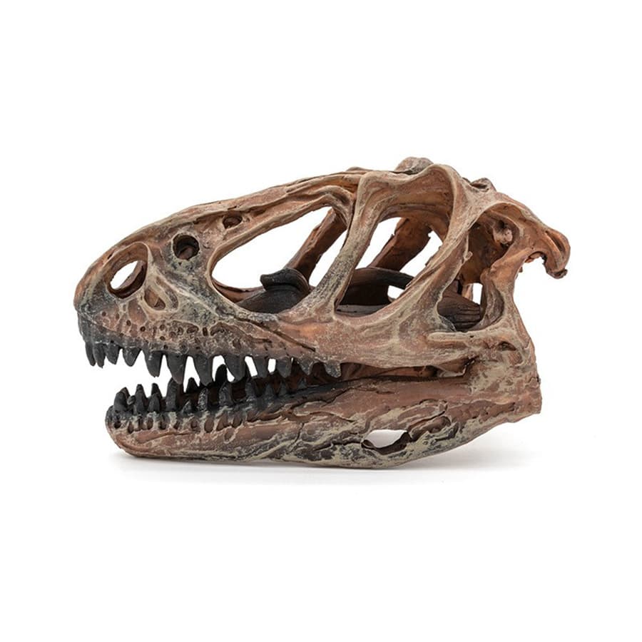 Tyrannosaurus Rex Skull Model Resin Craft, T-Rex Skeleton Animal Skull for Study Reference