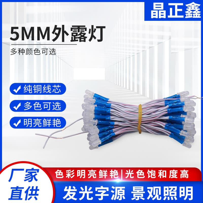 5MM 5V LED Light Beads for Electronic Light Box, Exposed Hole Light String for Signboard, Glowing Decorative Lights, Hot Selling Cross-Border