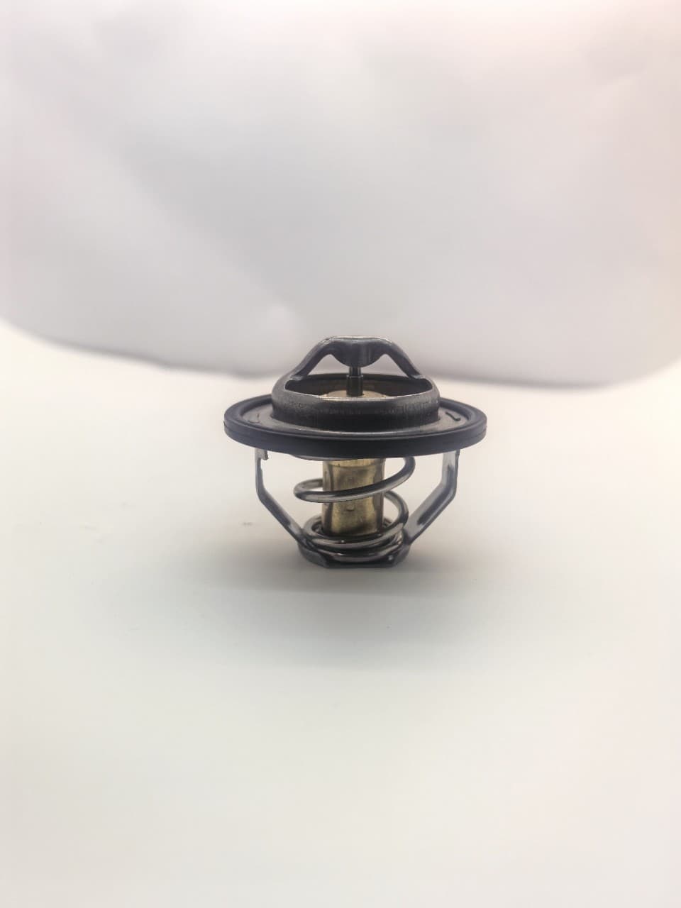 Thermostat 12622410 for New Regal 2.4, 12615097.