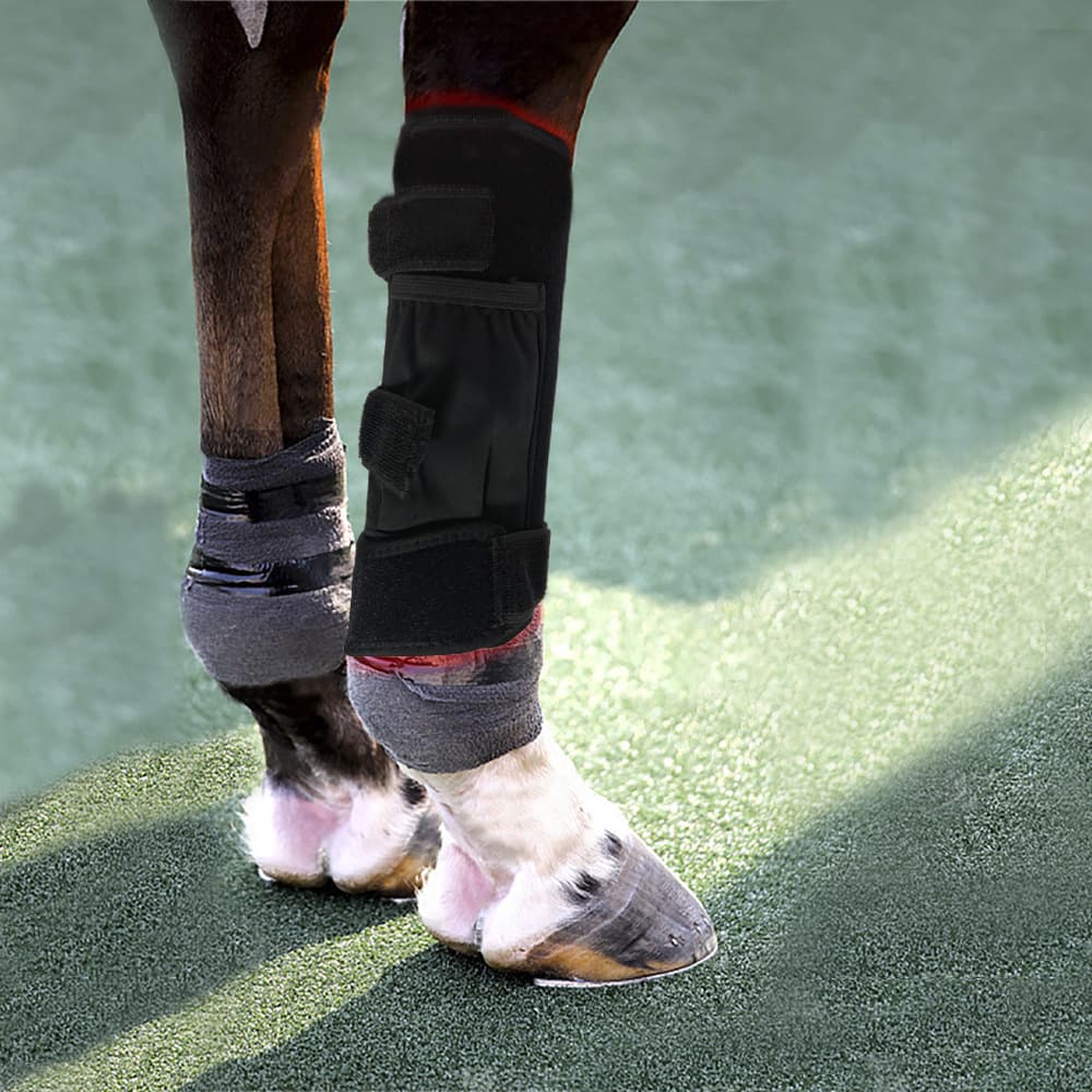 2025 Horse Leg Physiotherapy LED Red Light Infrared Protective Product Intelligent Heat Therapy Waist Support with Adjustable Light and Far Infrared