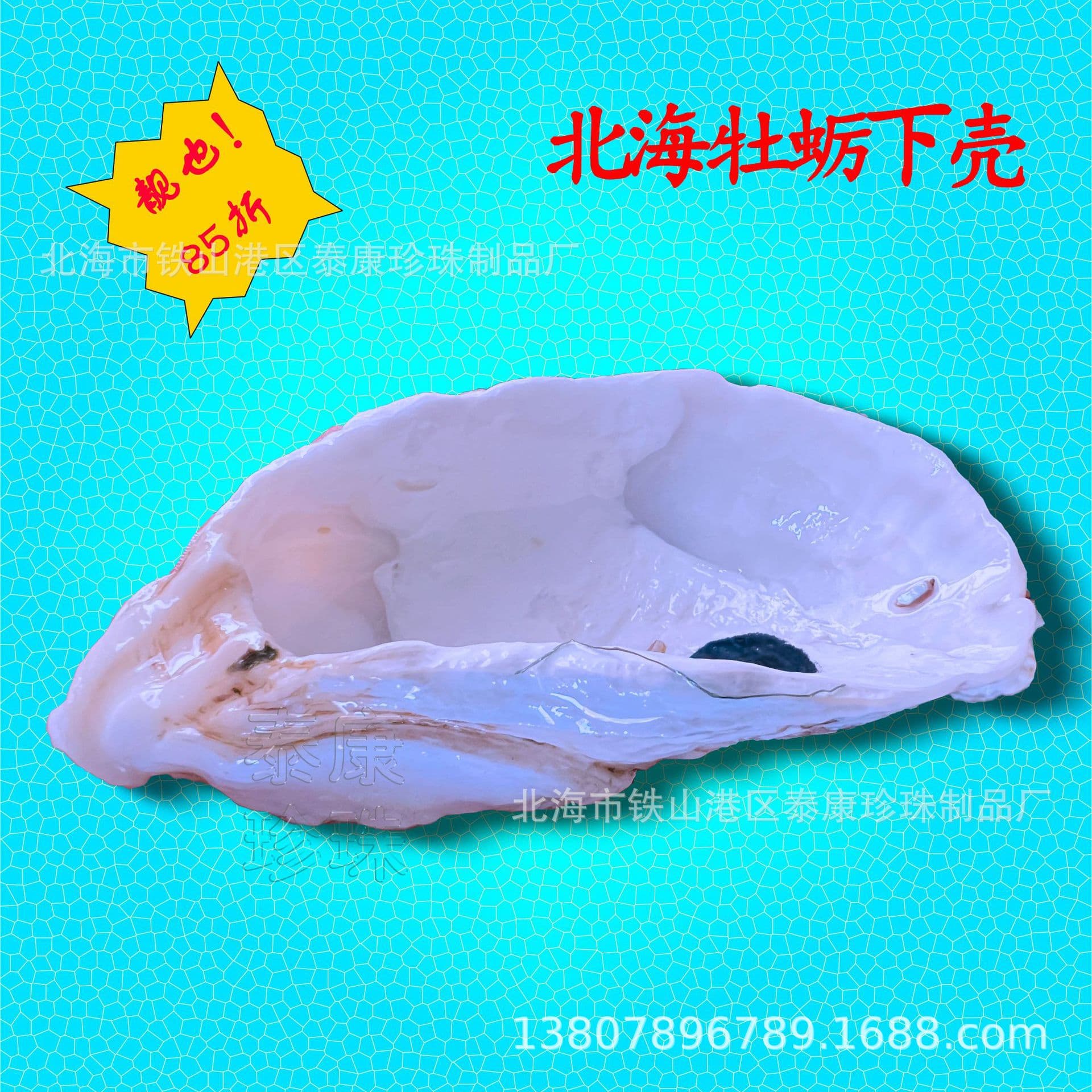North Sea Oyster Shells Craft Gifts Selected Oyster Shells Filter Material Numbered Pre-order