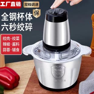 Electric Meat Grinder for Home Use, Small Stainless Steel Mincer with Large Capacity and High Power, Food Processor for Meat Filling