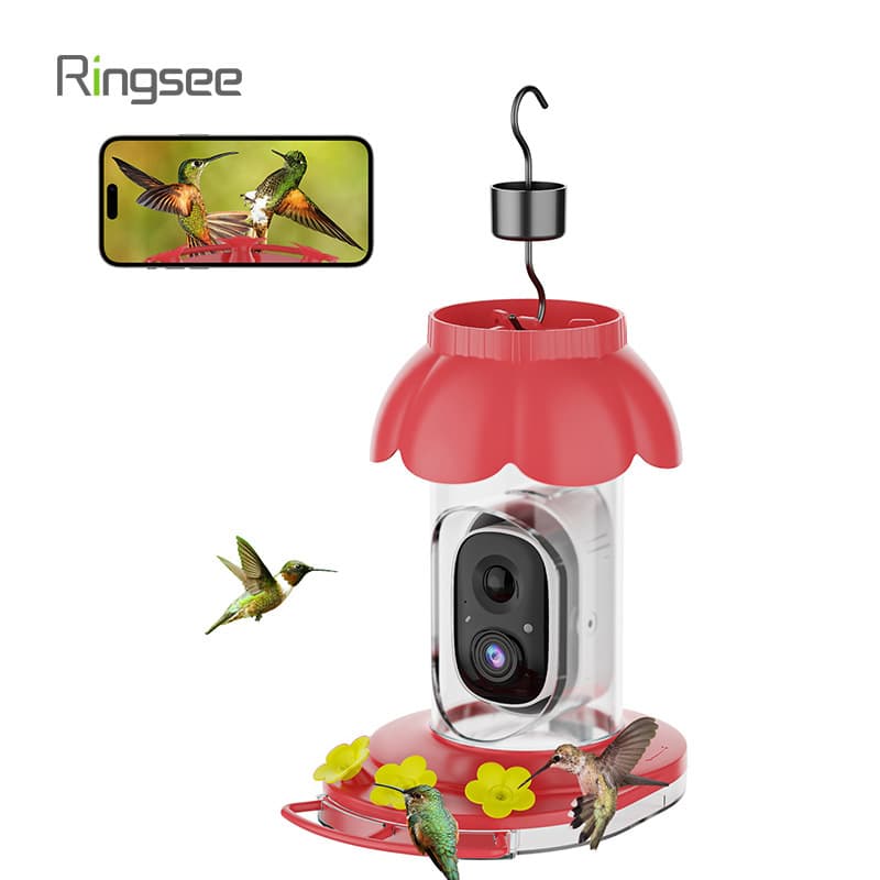 Cross-border supply hummingbird feeding and watering observation camera, Wifi smart HD video bird feeder wholesale manufacturer
