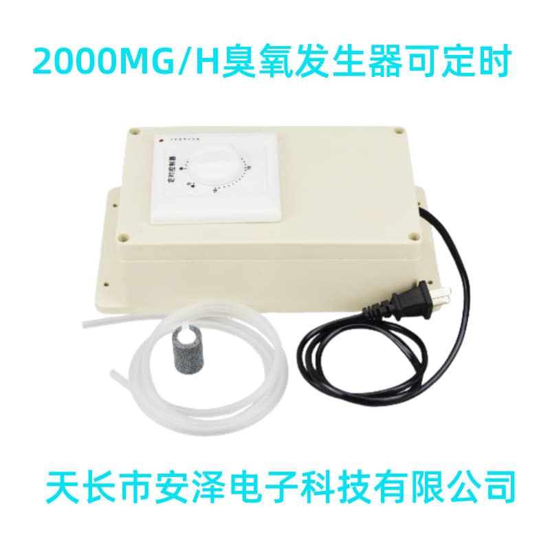 2000MG/H Ozone Generator Multi-functional Ozone Sterilization Disinfection Machine, 8L Water Treatment for Aquariums and Home Fruit/Vegetable Use