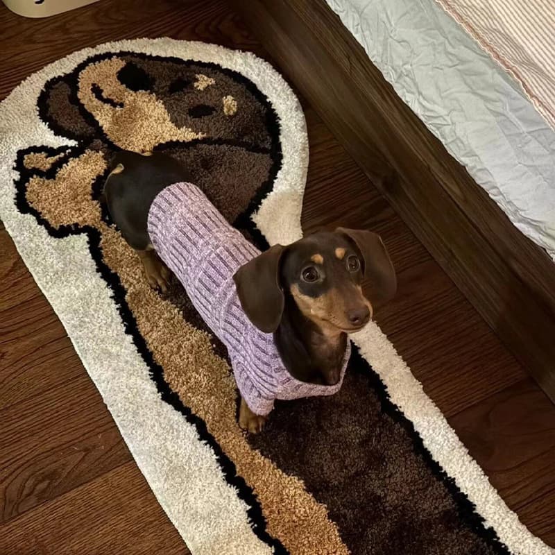 Dachshund Rug Design Bedroom Ins Style Minimalist Plush Home Creative Floor Mat Bedside Mat Cartoon Bedside Rug