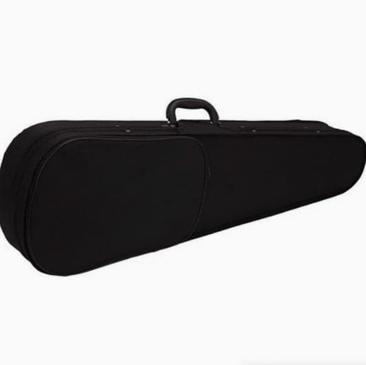 Foam Violin Case Violin Triangle Case