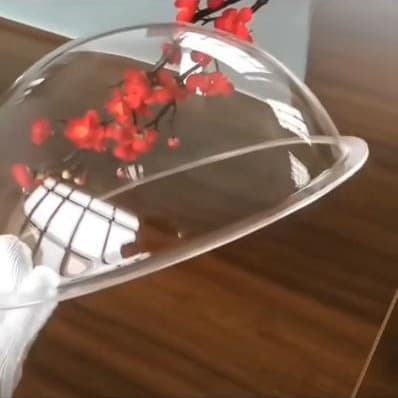 Acrylic Half-Dome Cover Custom Transparent Cat House Glass Dome Dust Cover