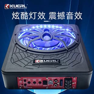 Factory Wholesale Car Audio Modification Spider with Light 10 Inch High Power Active Car Ultra-Thin Subwoofer