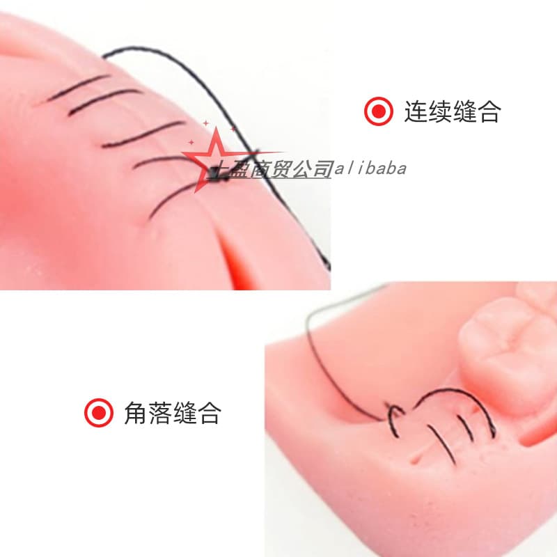 Wound Model Surgical Suturing and Knot-Tying Practice Silicone Module, Oral Suturing Practice, Skin Training Model