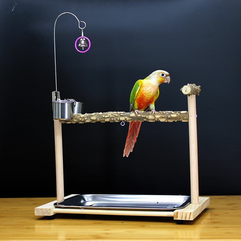 Cockatiel, Peony, Monk, Myna, Sun Conure Parrot Desktop Training Floor-Standing Solid Wood Medium and Small Bird Perch Stand with Foot Chain