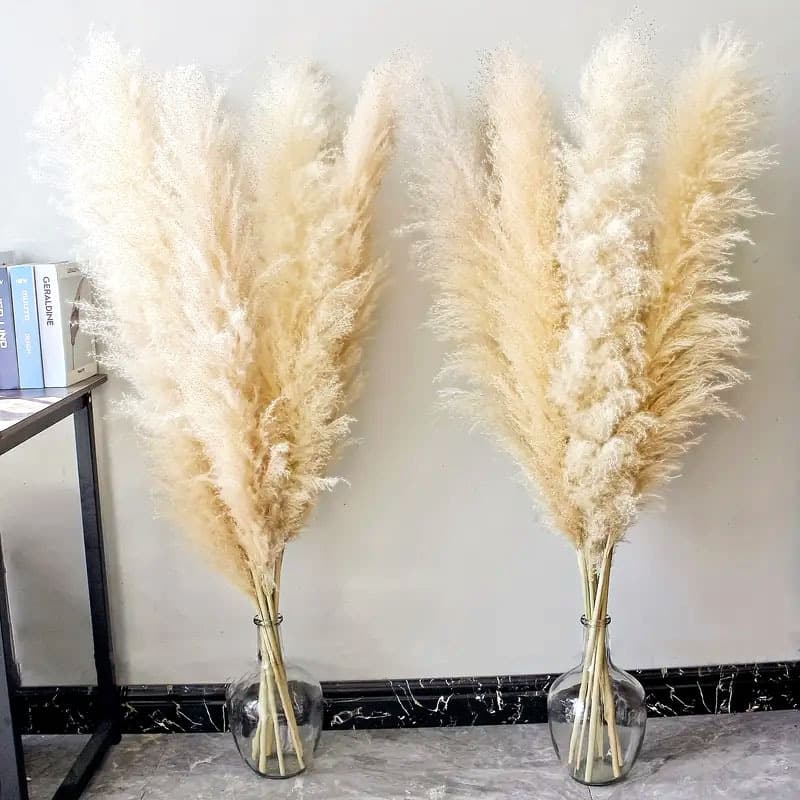 Natural Large Reed Pampas Grass Tall Pampas Grass Wedding Party Bohemian Style Home Window Decoration Dried Flowers