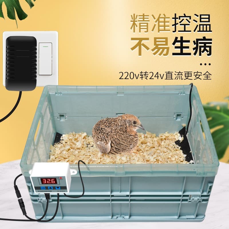 Parrot Incubator for Baby Birds, Hatchling Birds, Hand-Raised Birds, Small Constant Temperature Mini Breeding Supplies