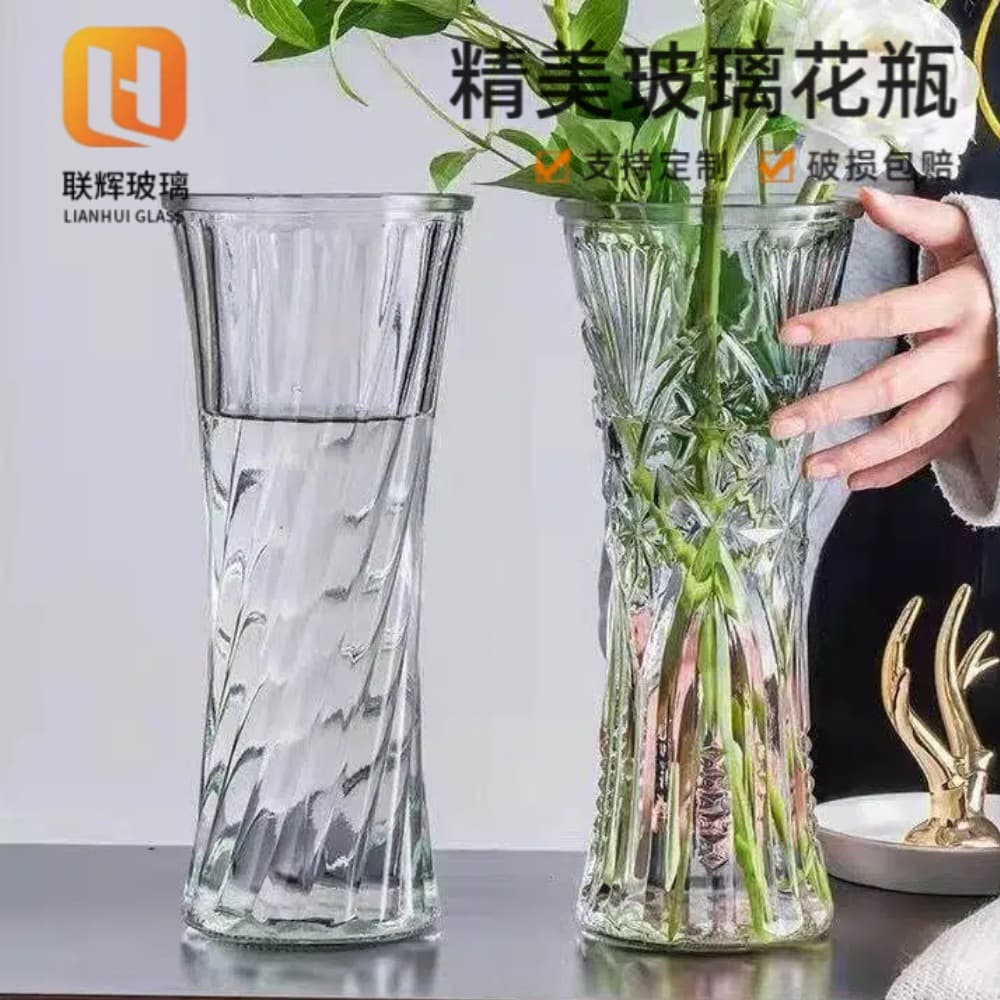 Simple Transparent Glass Vase for Living Room Flower Pot European Style Premium Vase
