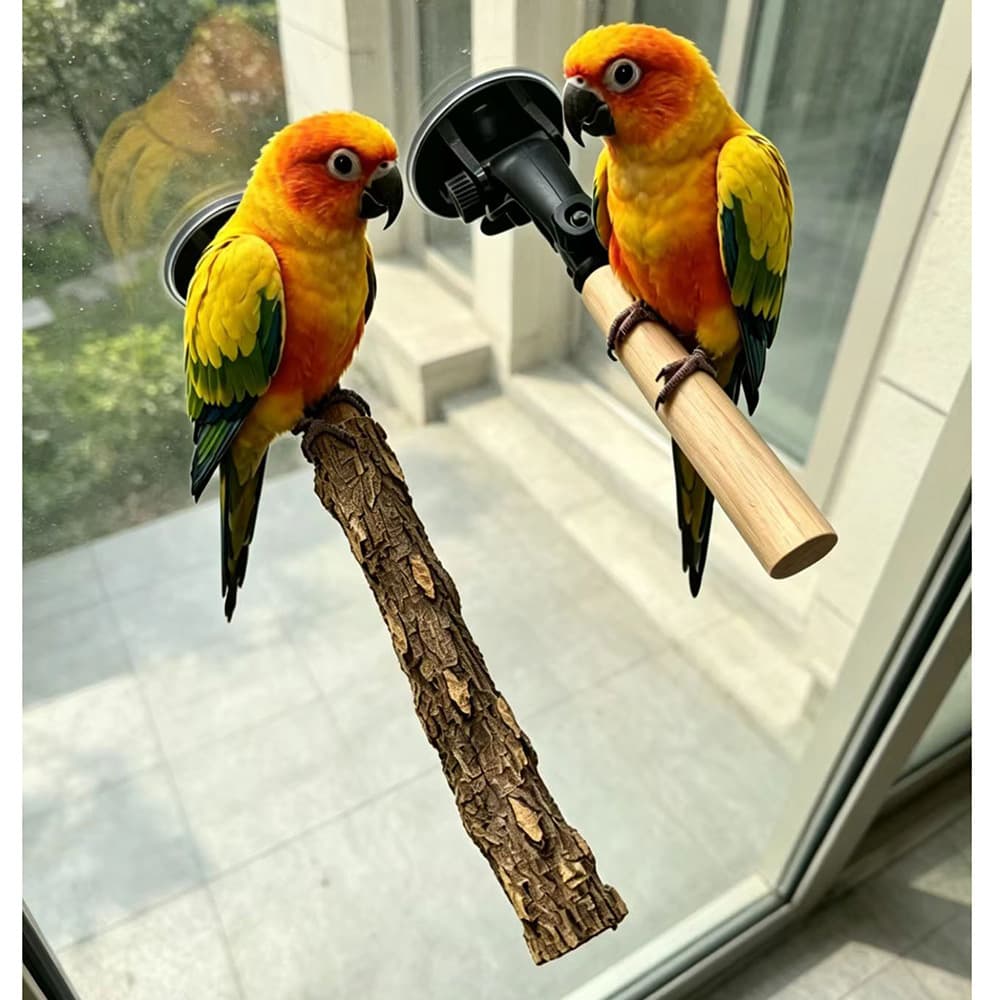 Small Bird Perch with Suction Cup for Parrots, Cockatiels, and Lovebirds – Bird Bath Wall Training Perch for Bird Cage Stand