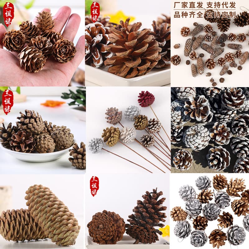 Christmas Pinecone Ornament Oil Pine Handmade DIY Squirrel Chewing Toy Decoration Props Local Pine Bagged Cross-border Wholesale