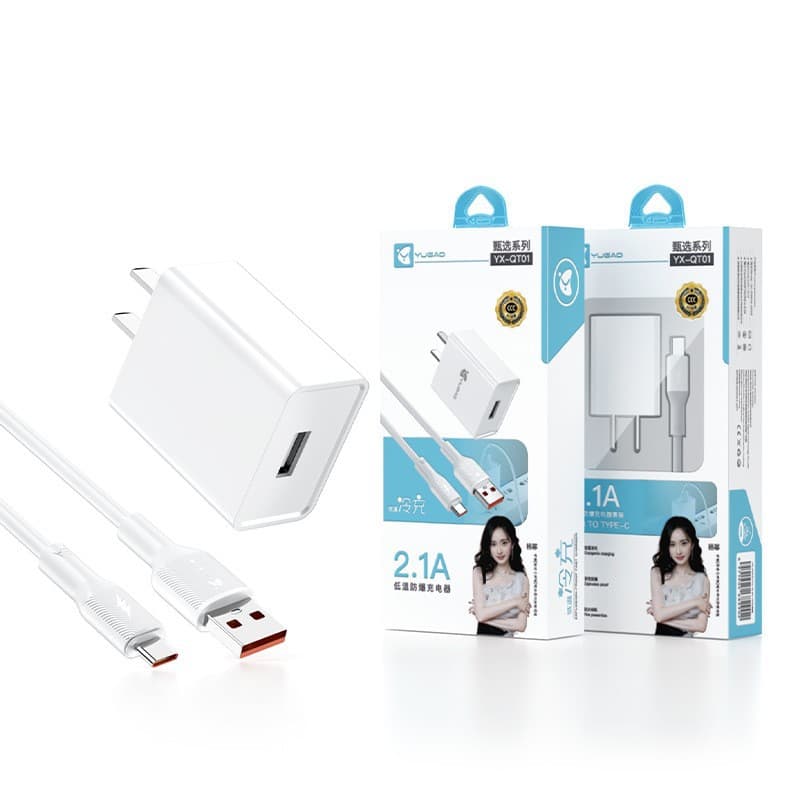 Wholesale 5V 2.1A Power Adapter for Android and Apple Phones USB Charging Kit Explosion-Proof 3CT21