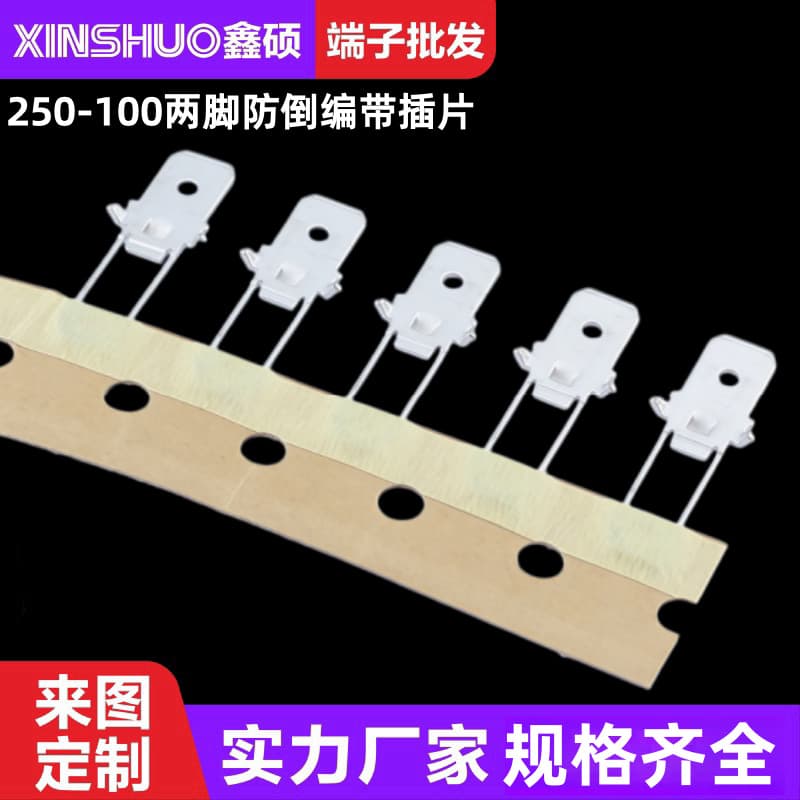 250-100 Two-pin Anti-reverse Braid Insert Tab 6.3 Terminal Block Connector for Control Board Copper Solder Tab