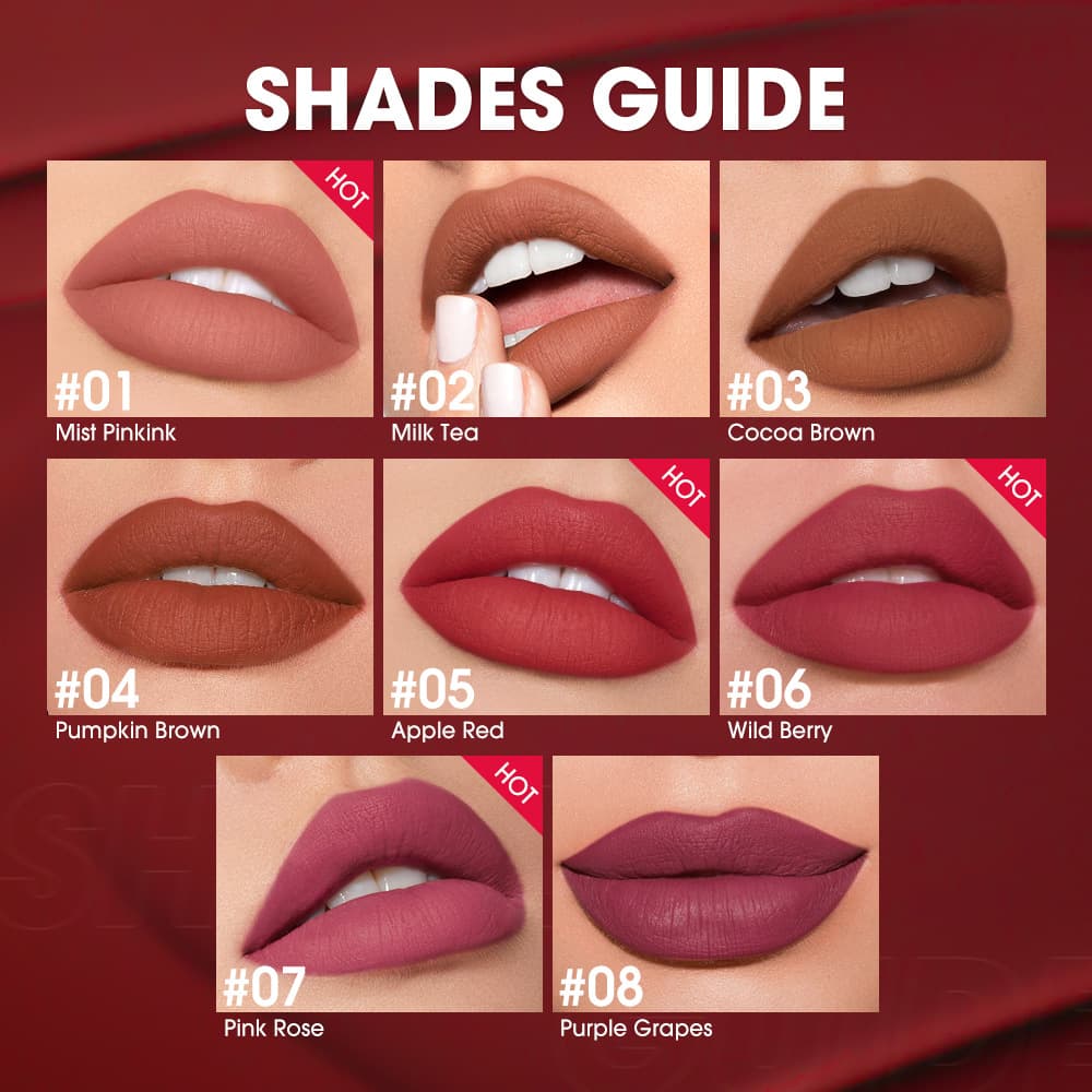 OTWOO Velvet Matte Long-Lasting Lip Gloss Stick sc057 Cross-Border Best Seller