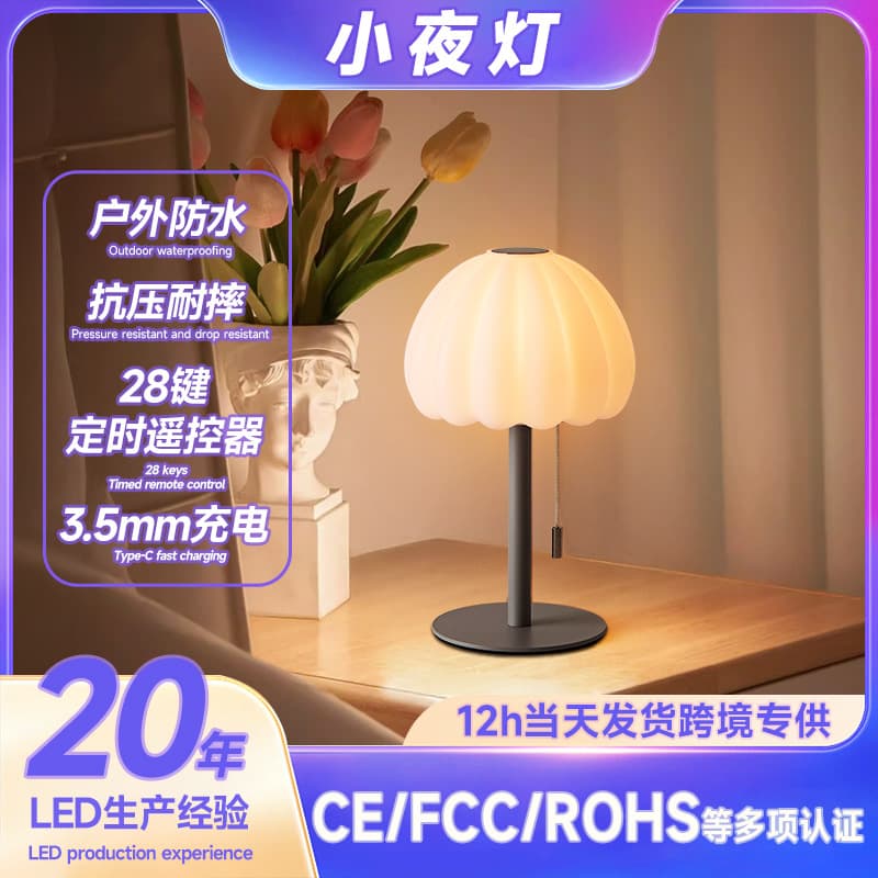 Cross-border Bestseller Bathroom Ambient Desk Lamp Bedroom Bedside Desktop Study Small Desk Lamp Type-C Fast Charging LED Night Light