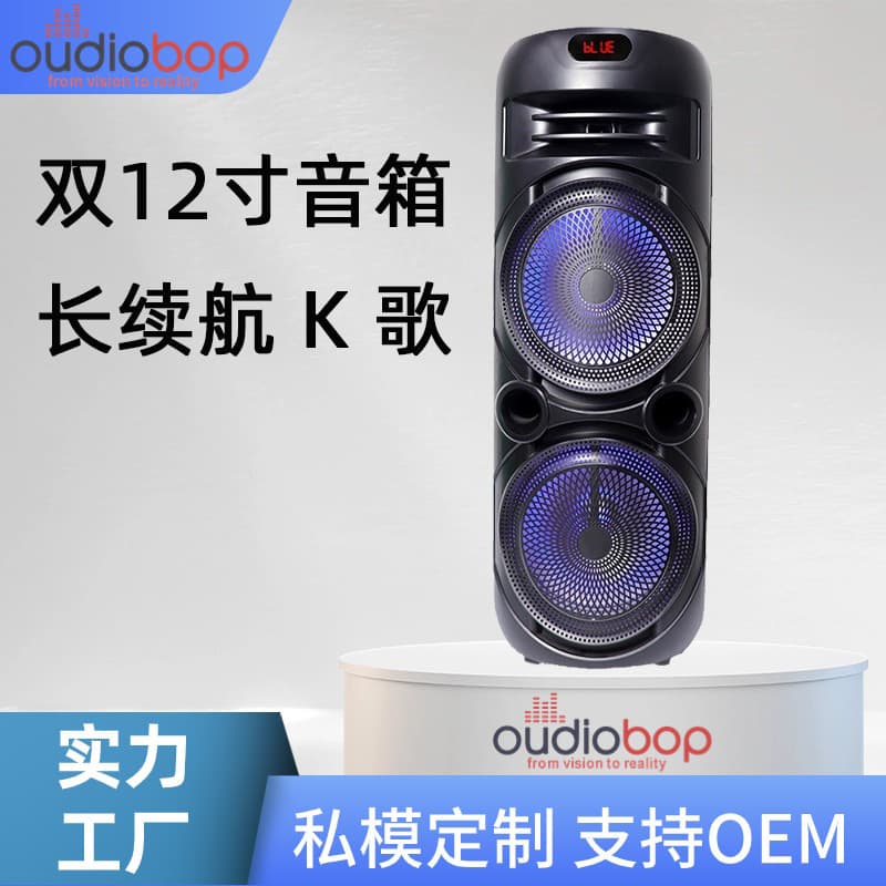 Dual 12-inch Bluetooth Large Speaker Home KTV Bluetooth Speaker Outdoor Singing Karaoke Bluetooth Speaker with Microphone