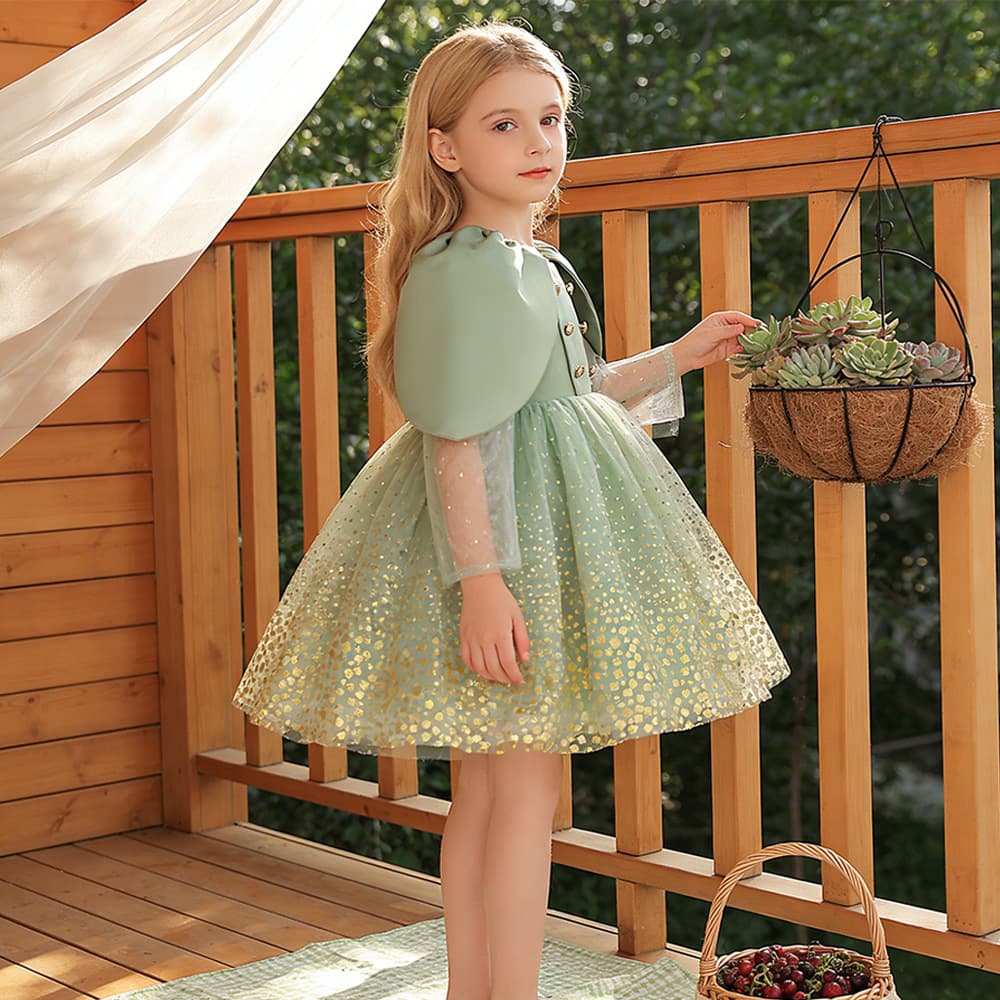 Cross-border ebay new medium and large children's dress princess dress long-sleeved birthday party performance wear mesh puffy dress