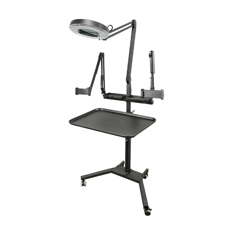 Taido Factory Direct Supply Mobile Dual Stand Tattoo Workstation with Light and Phone Tablet Holder Cross-Border New Product