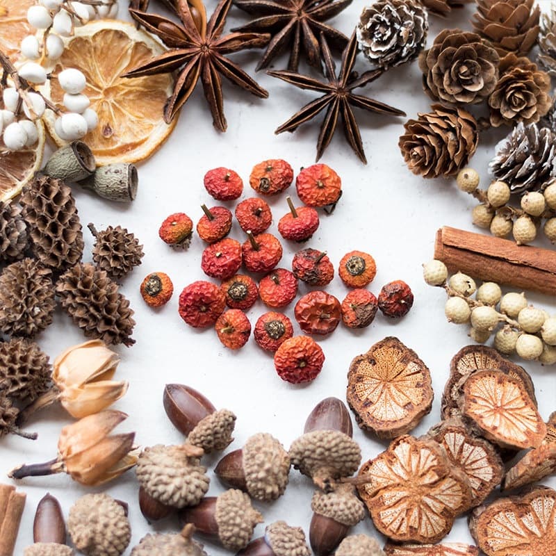 Dried fruit pine cone decoration natural plant specimen Christmas environmental creation parent-child activity handmade diy raw material package