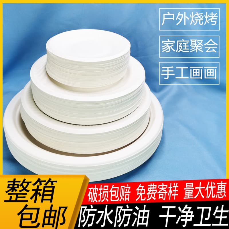 Disposable Thick Paper Plate, Sugarcane Pulp Plate for Cake Parties, Handmade DIY Art Painting Palette