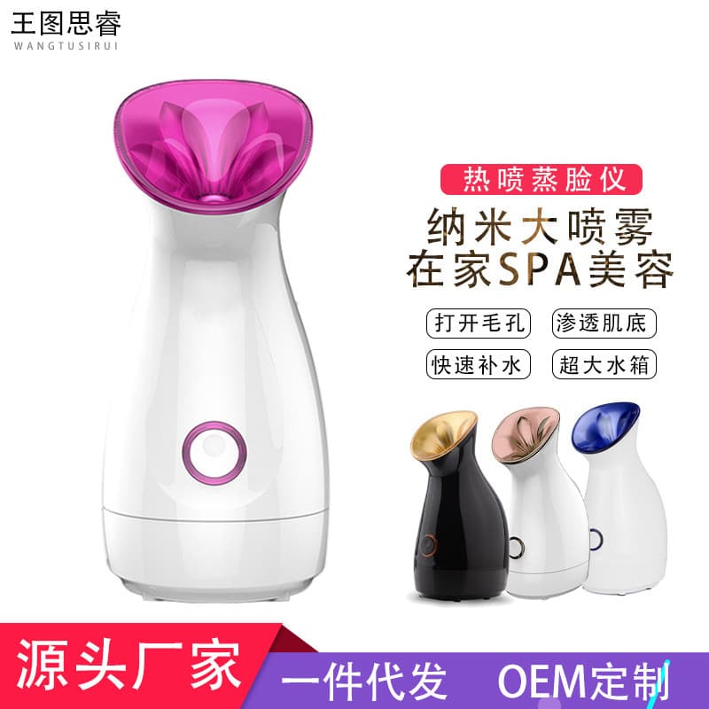 Facial Steamer, Cross-Border E-Commerce Bestseller, Hot Mist Hydrating Beauty Device, Factory Stock, Drop Shipping, Fast Delivery