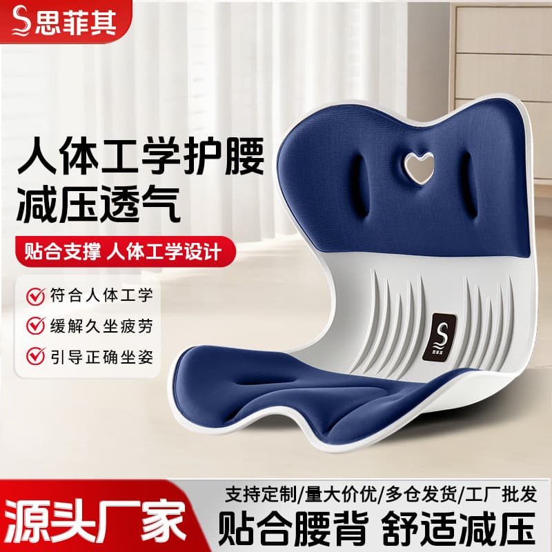 Sifeiqi Petal Lumbar Support Cushion for Office Work, Study, and Prolonged Sitting - Posture Correction Integrated Backrest Aid