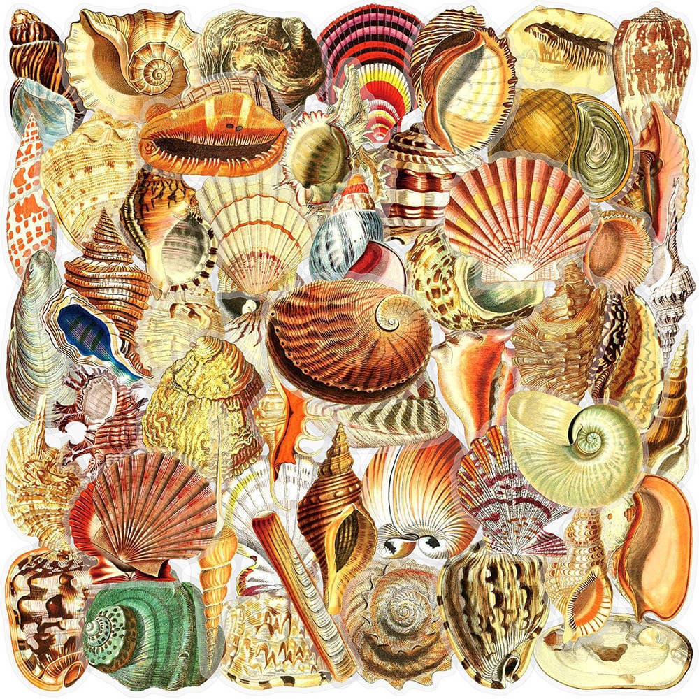 50 Vintage Shell PET Stickers Ocean Retro Creative Phone Case Computer Waterproof Decoration Cup Stickers
