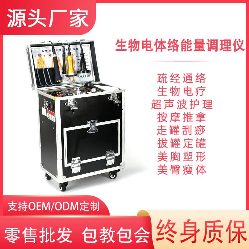 2024 Multifunctional Physiotherapy Device, Electrotherapy Device, Dds Bioelectric Meridian Dredging, Beauty Massage Machine, Magnetic Therapy for Home Use
