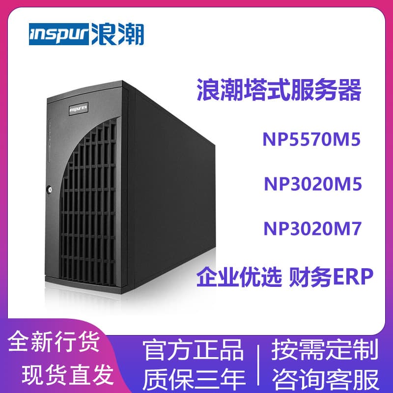 Inspur YuanNao NF5570M5/NP3020M7 Tower Server Inspur Kunpeng CS5280K2 Host