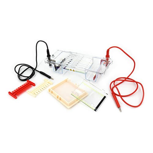 Liuyi DYCZ-20H High Throughput Vertical Electrophoresis System, with a loading capacity of 204 samples per run.