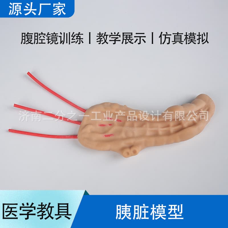 Pancreaticojejunal Anastomosis Laparoscopic Simulation Training Suturing and Cutting Module Model for Surgery