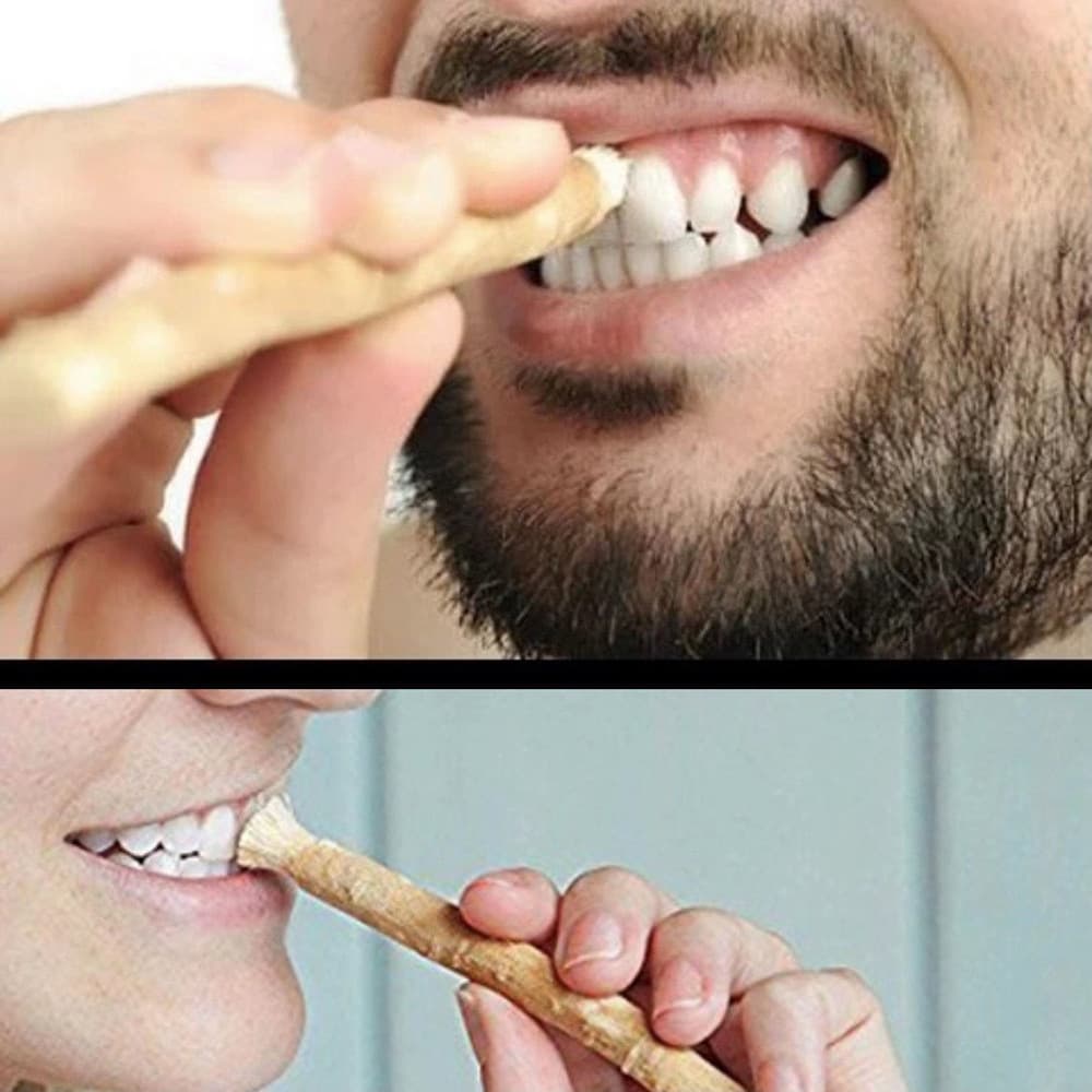 Miswak Natural Toothbrush Stick - Traditional Arabic Dental Cleaning Stick