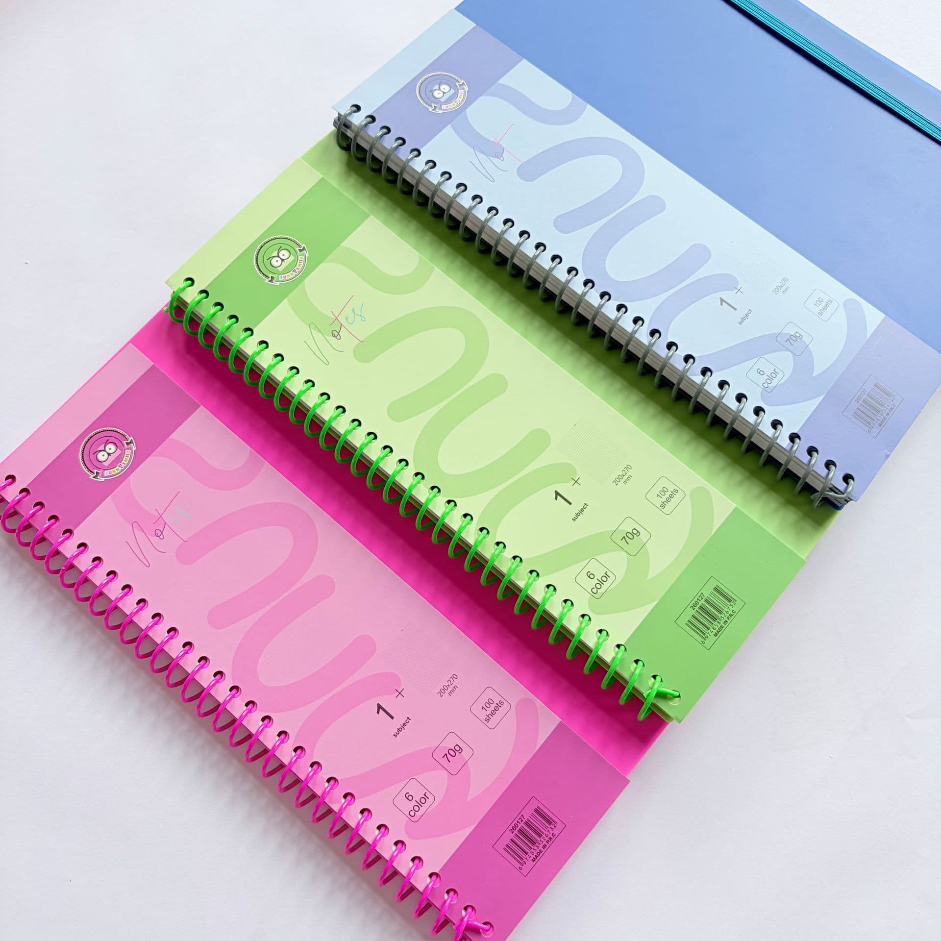 In Stock for Fast Export Shipping 20X27-100 Sheets Color Edge Paper Inner Pages Bound Notebook Plastic Single Wire Binding