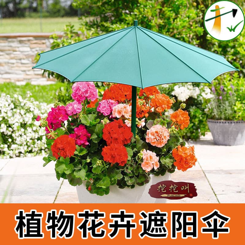 Cross-Border Hot Selling Garden Ground Umbrella, Outdoor Plant Potted Shade Umbrella, Plant Protection Umbrella Factory Direct