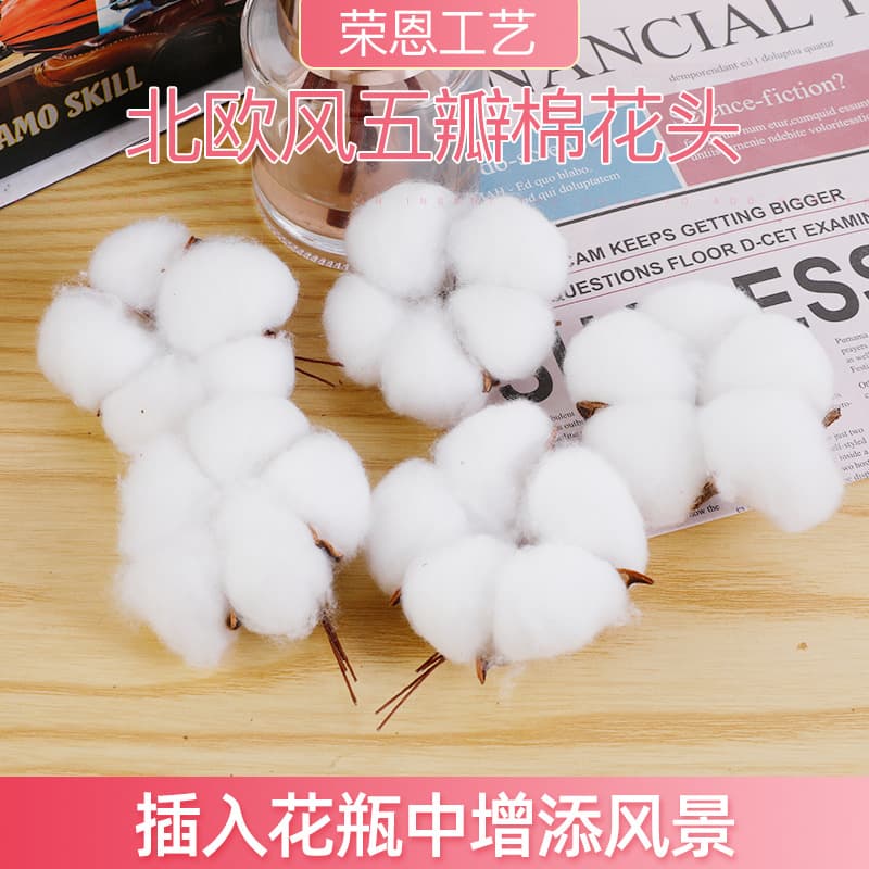 Xinjiang Five-Petal Cotton Heads Premium Dried Cotton Bouquet Gift Decor Ornament Eternal Flower Wholesale