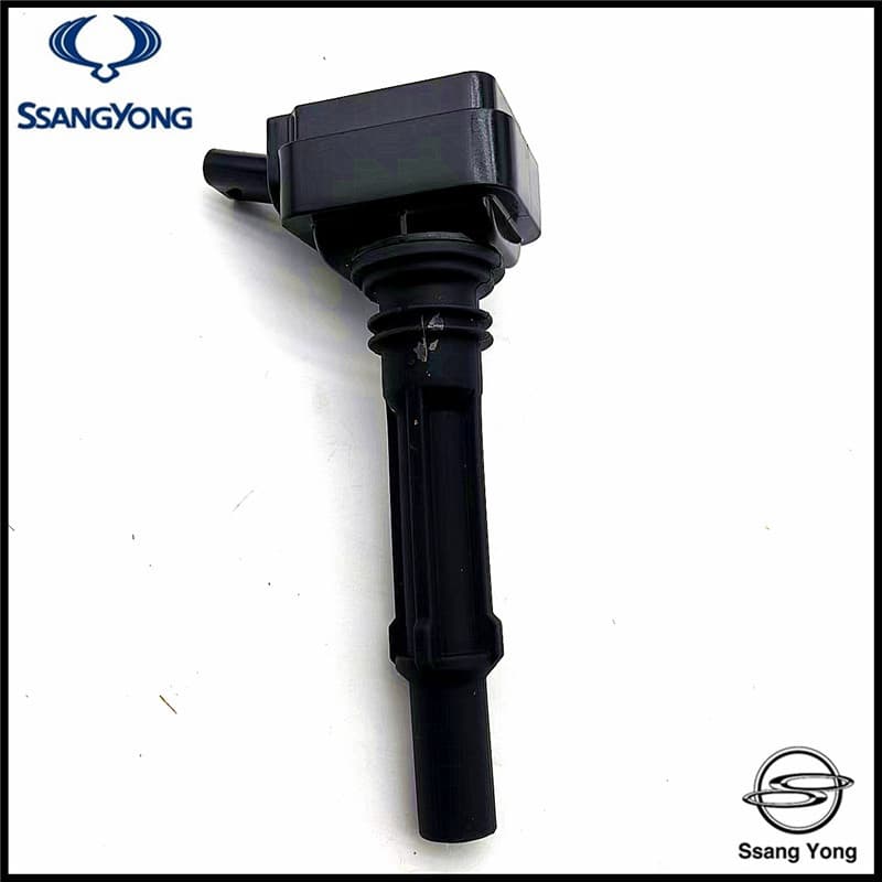 Korea Ssangyong Ignition Coil Is Suitable for Tivela Ignition Coil Ignition Package 1731580103 Engine