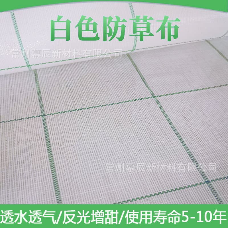 White Grid-Pattern Landscape Weed Control Fabric, 100g Woven Agricultural Ground Cover for Weed Prevention