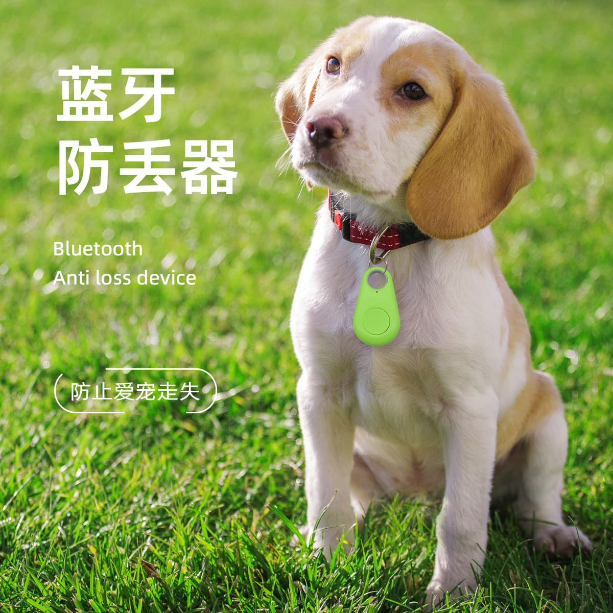 Cat locator small mini two-way anti-loss Bluetooth dog positioning tracker, anti-removal pet smart wearable